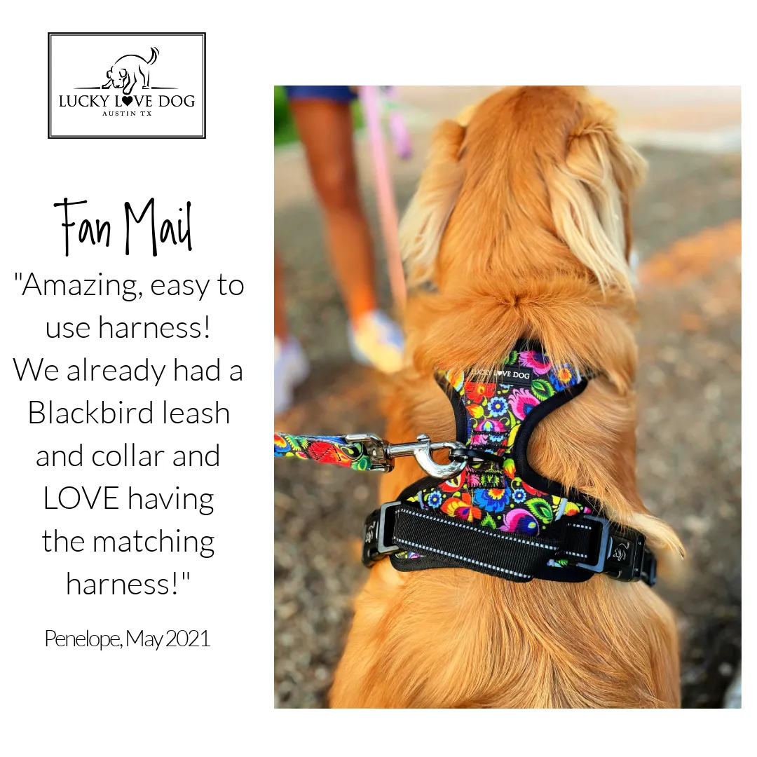 Easy Walker Harness