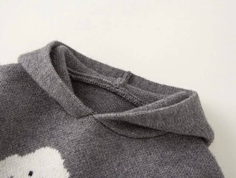 Little Pet Buddy Hooded Knit Sweater