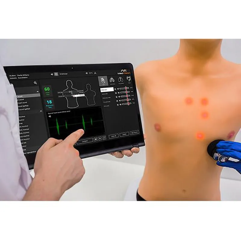 MATT Adult | MedVision Auscultation Task Trainer