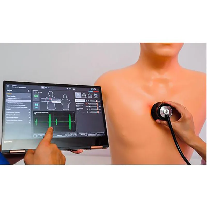 MATT Adult | MedVision Auscultation Task Trainer