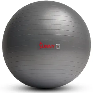 Premium Yoga Ball Medium - 65 cm